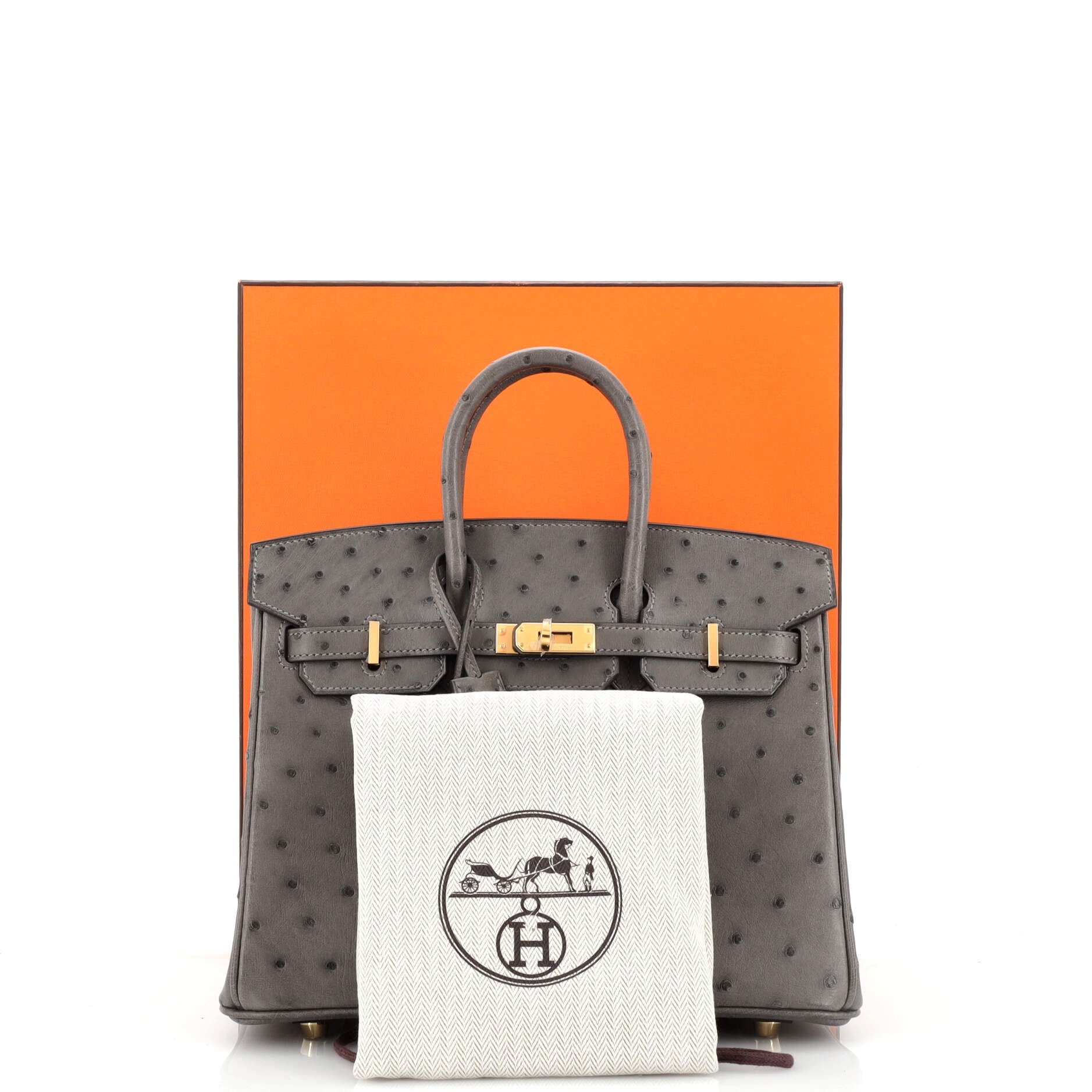 Gris Meyer Ostrich Birkin 25 Gold Hardware, 2022