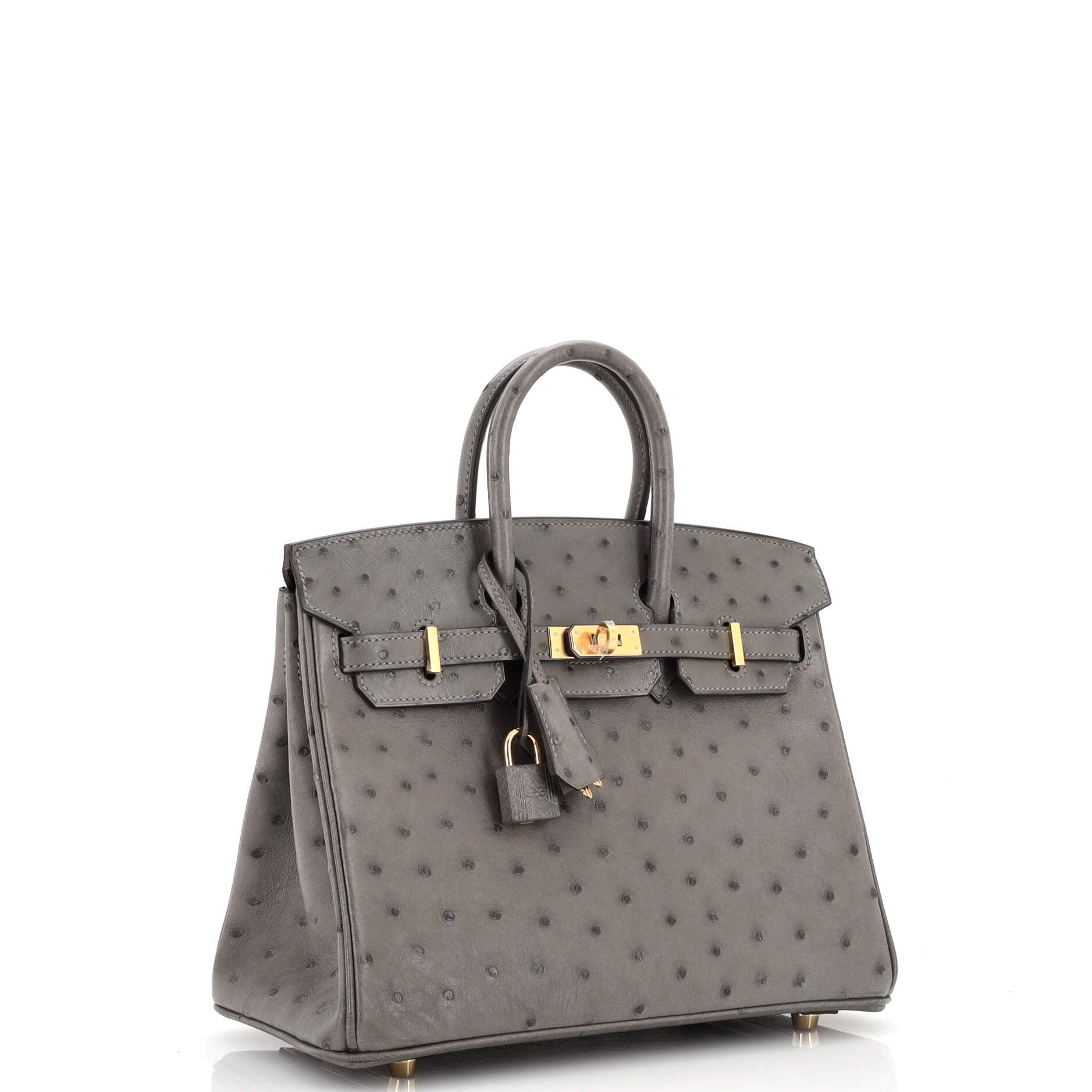 Gris Meyer Ostrich Birkin 25 Gold Hardware, 2022