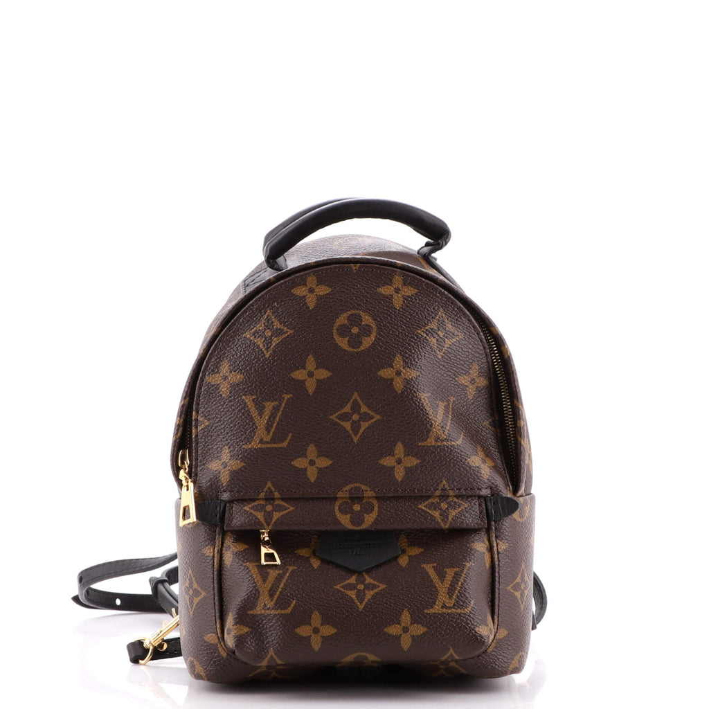 Louis Vuitton Palm Springs Backpack Backpack 377674