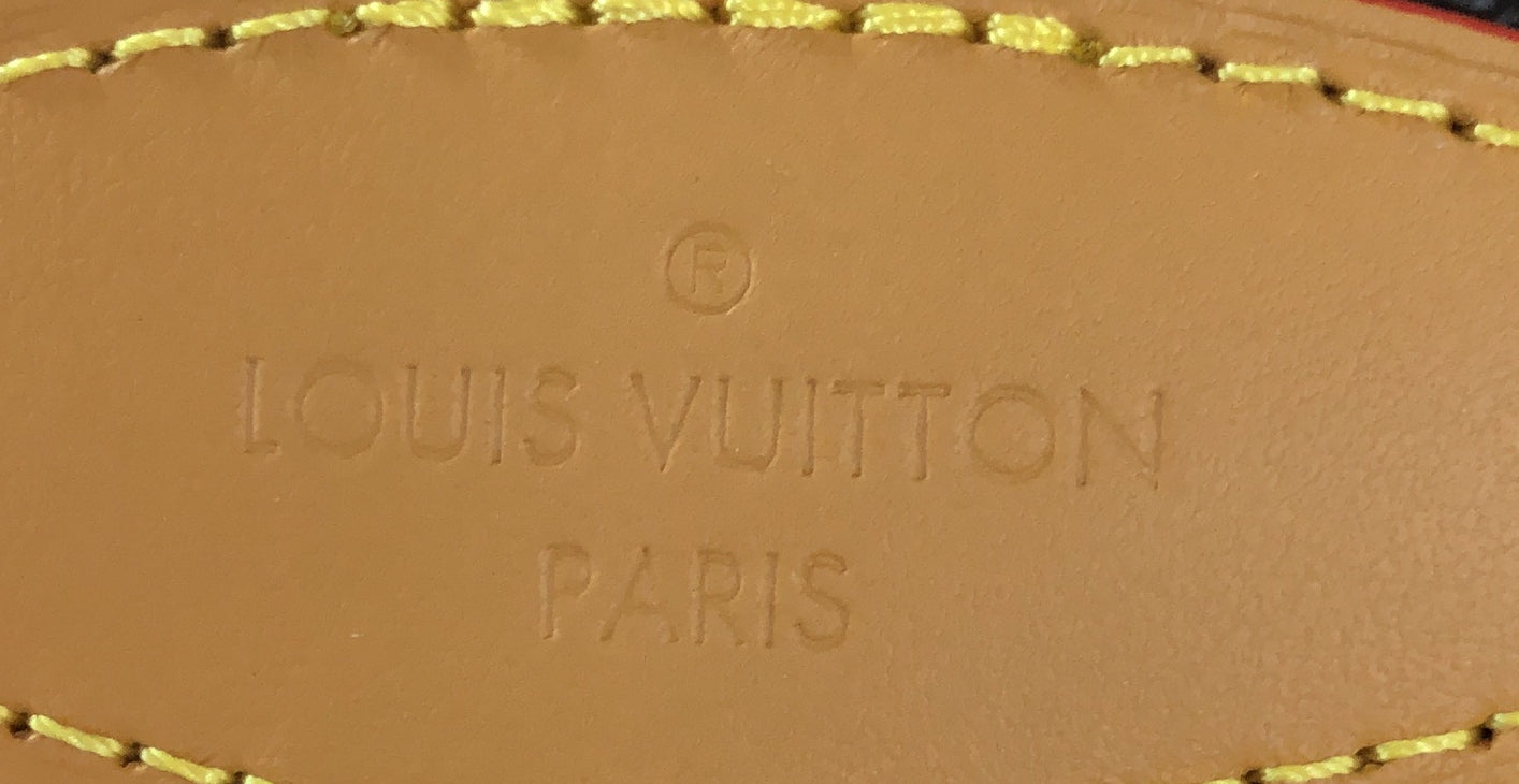 LOUIS VUITTON Limited Edition Monogram Blurry Ellipse Backpack