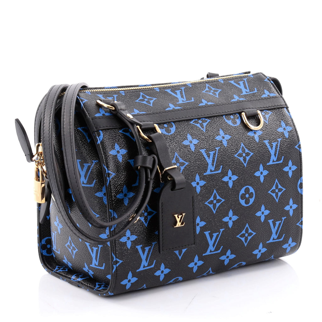 Buy Louis Vuitton Speedy Amazon Bag Monogram Canvas PM Black 2347601 – Rebag