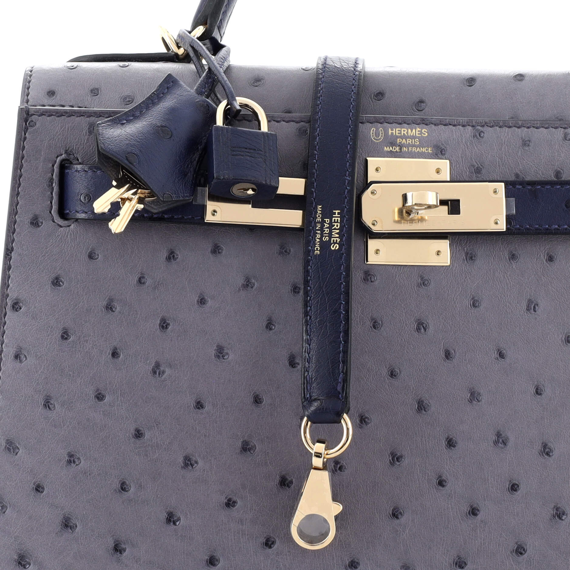 Hermes Kelly Pochette Anemone Ostrich Permabrass Hardware