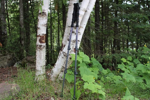 11 Best Ultralight Trekking Poles