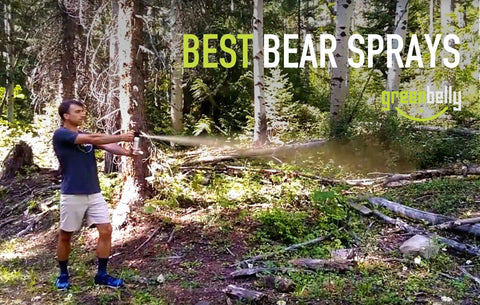 4 Best Bear Sprays for 2024