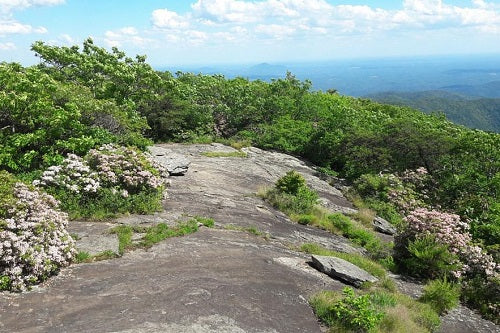 Top 10 Best Hikes on the Appalachian Trail: From GA to ME