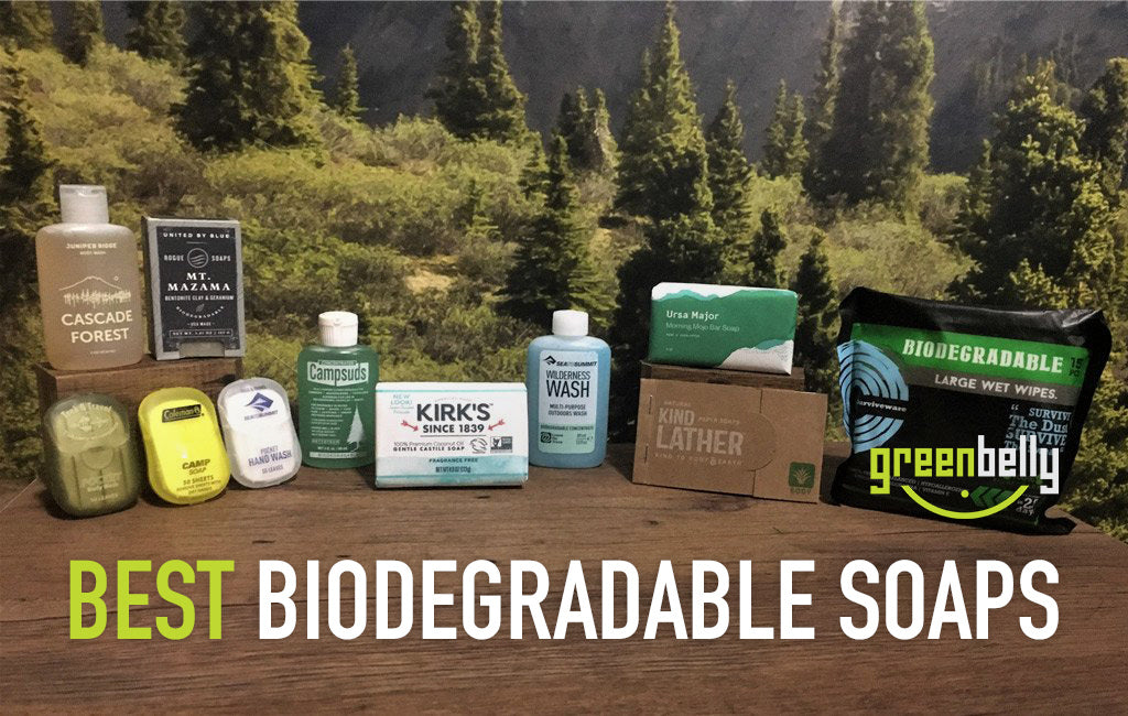 11 Best Biodegradable Soaps for 2024