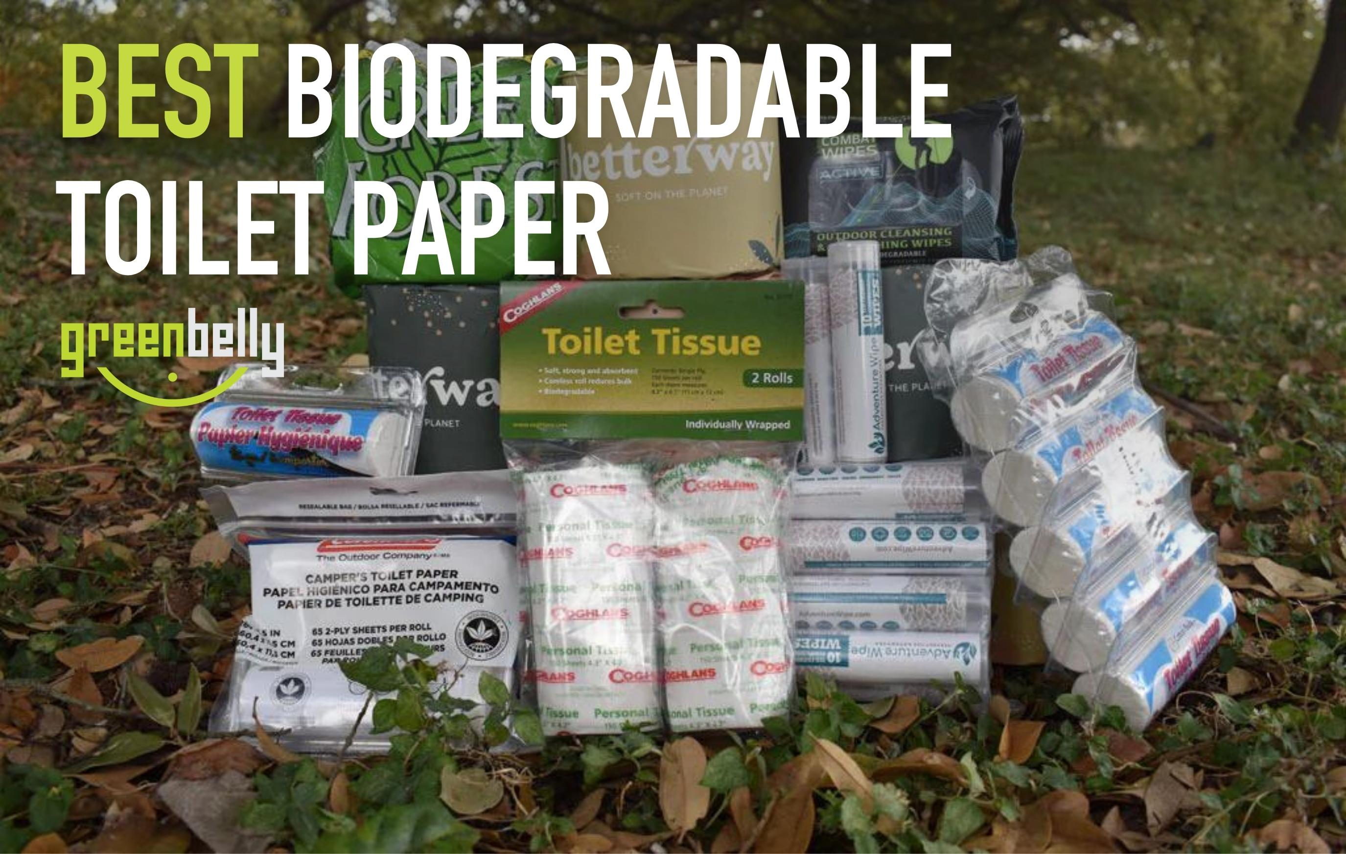 13 Best Biodegradable Toilet Paper