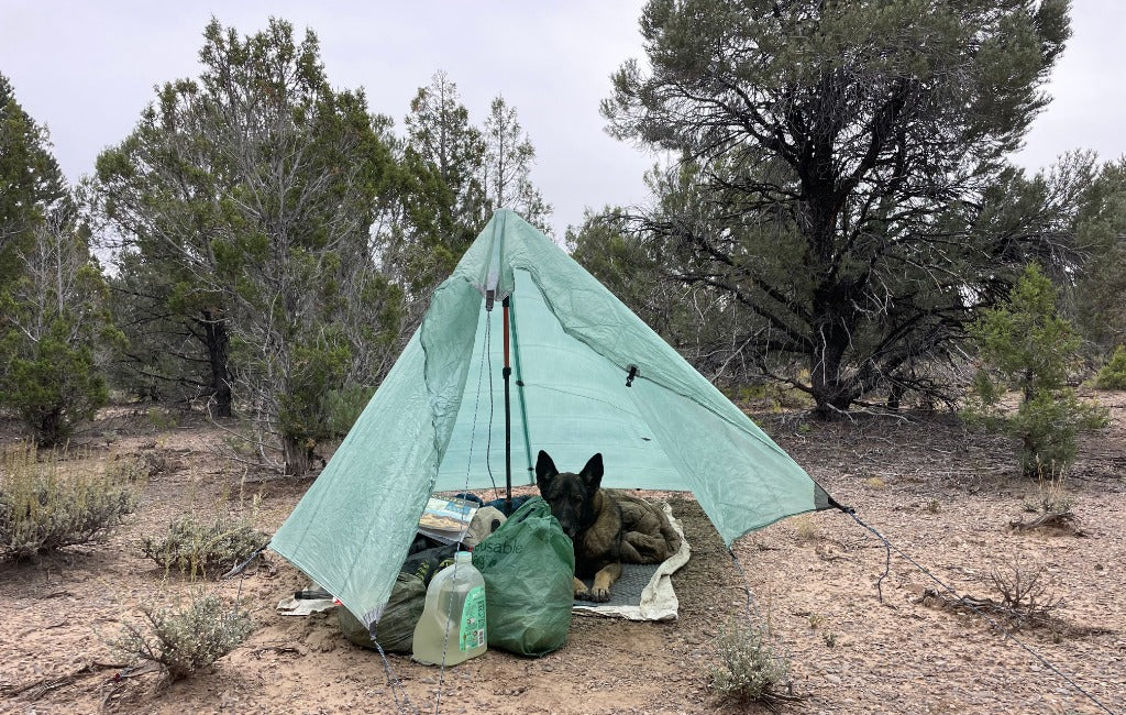 camping with a dog using hyperlite mountain gear flat tarp