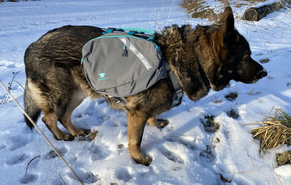 puppy hiking backpack