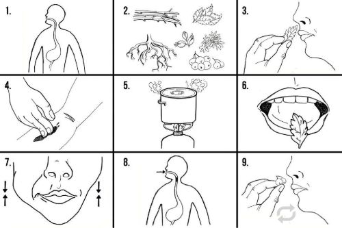 univesal edibility test