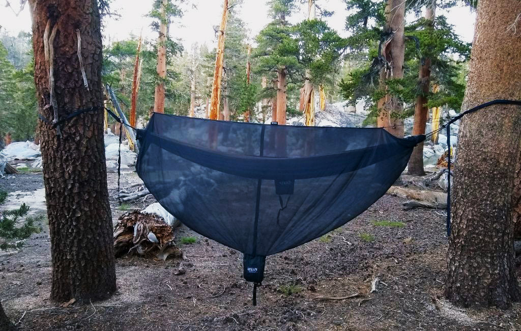 hammock camping with a bug net