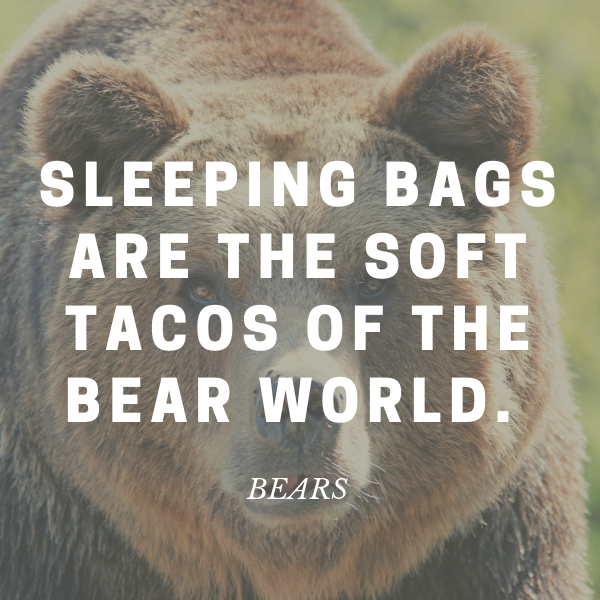 hiking quote by bears