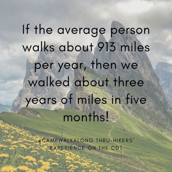 hiking quote by campwalkalong