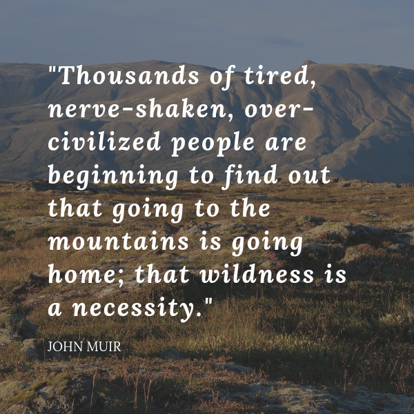 72 Best Hiking Quotes of All Time – Greenbelly Meals
