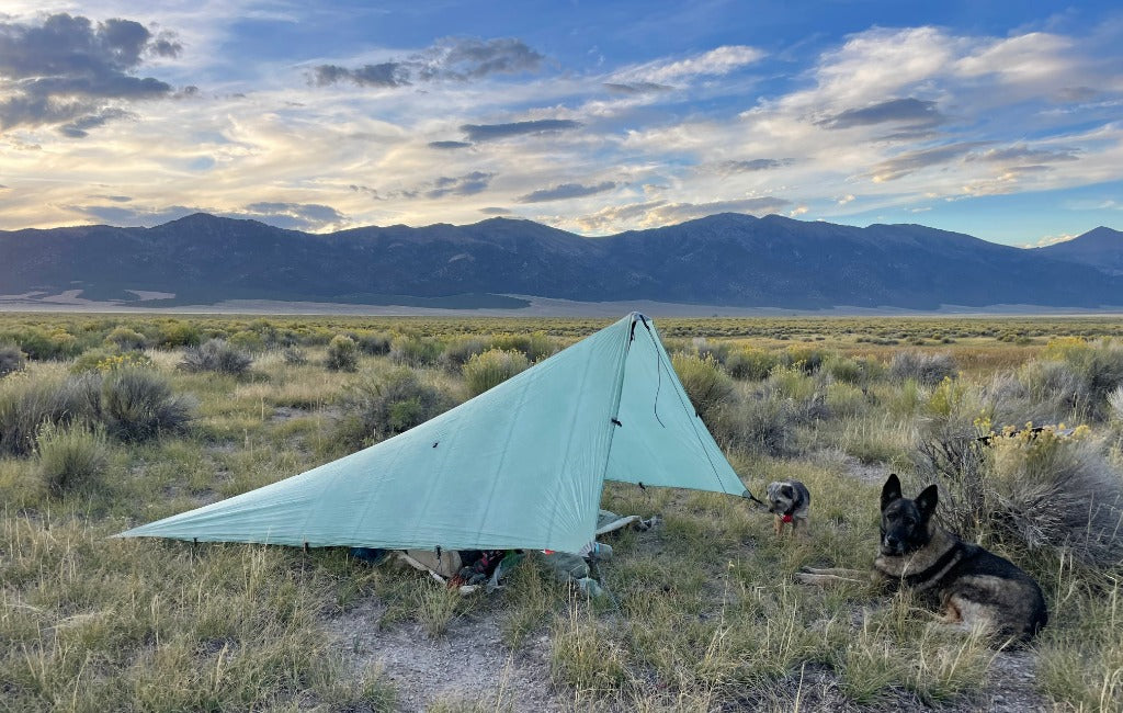 hyperlite mountain gear flat tarp beside a dog
