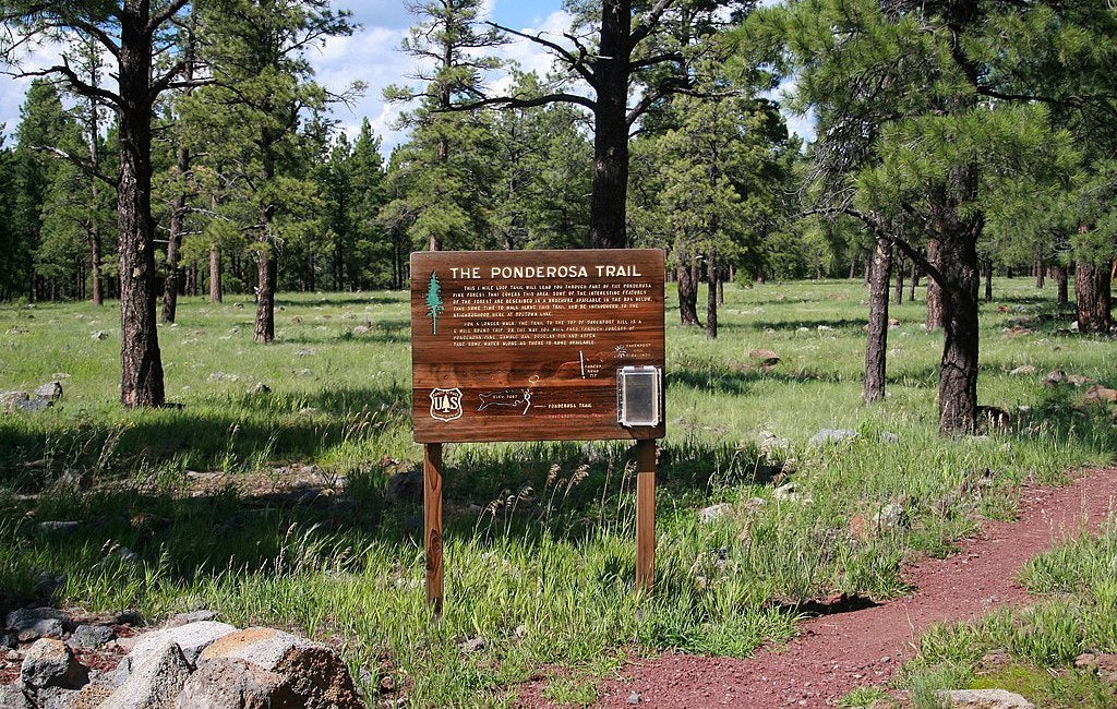 ponderosa trail camp shelter