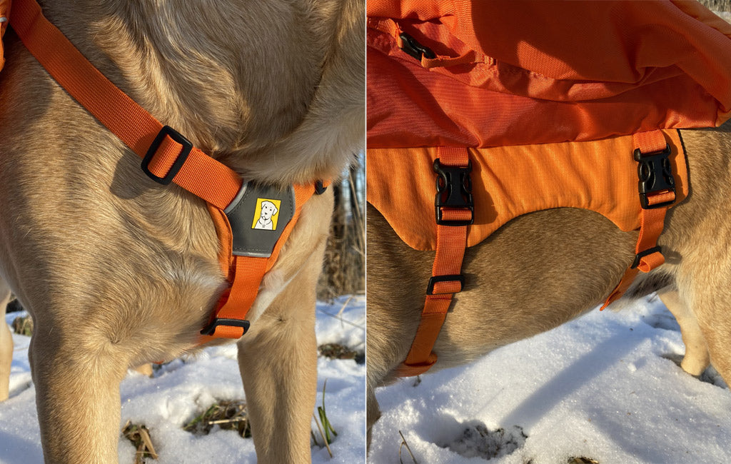 dog backpack leash