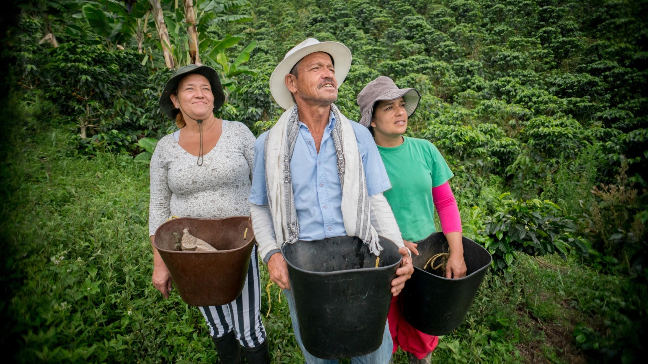 Colombian coffee farmers