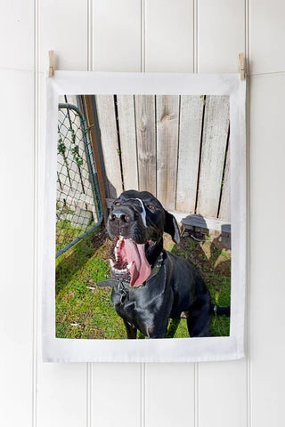 Custom printed dog photo tea towels Australia | No minimum order
