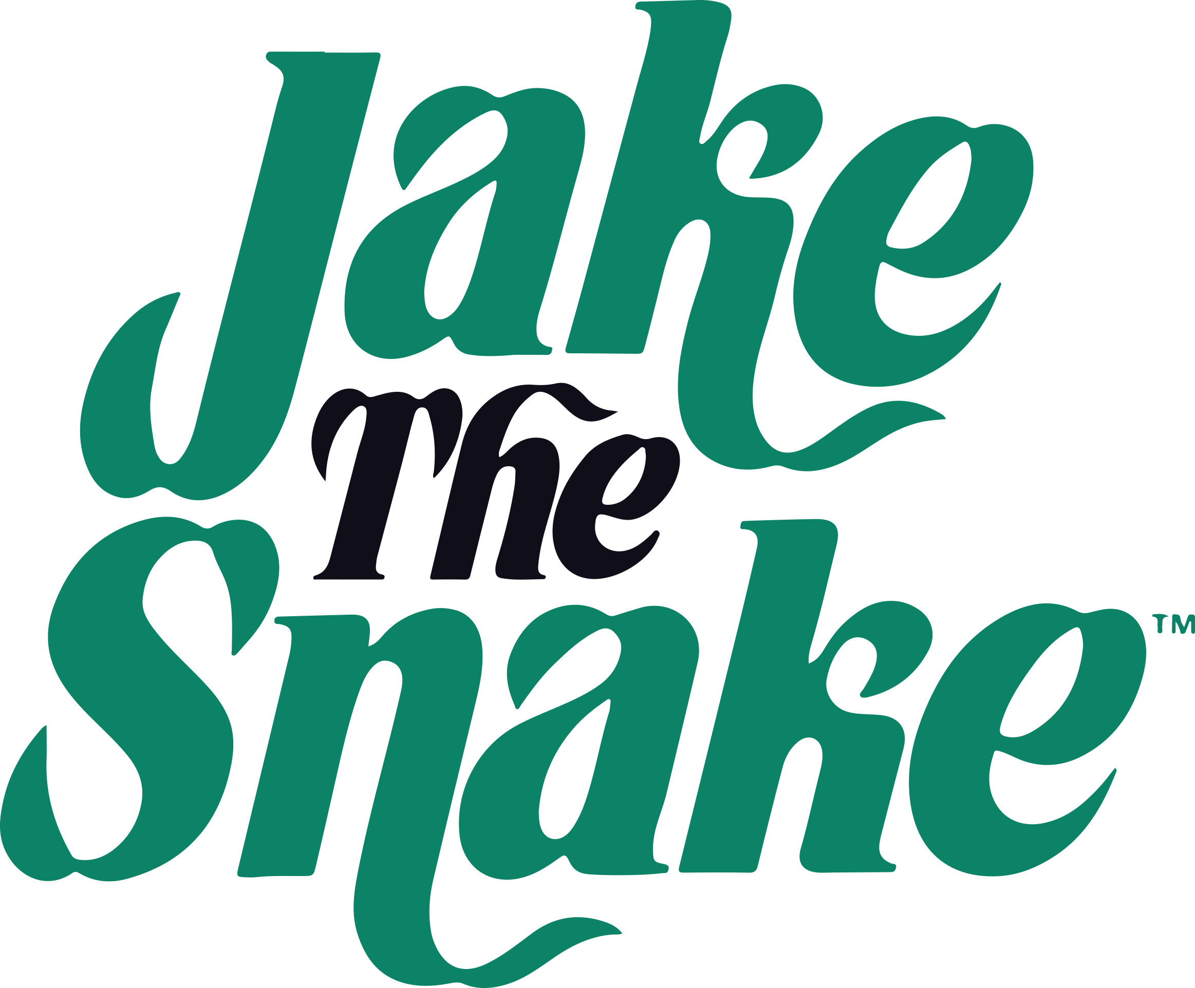 Jake The Snake Roberts T-Shirts