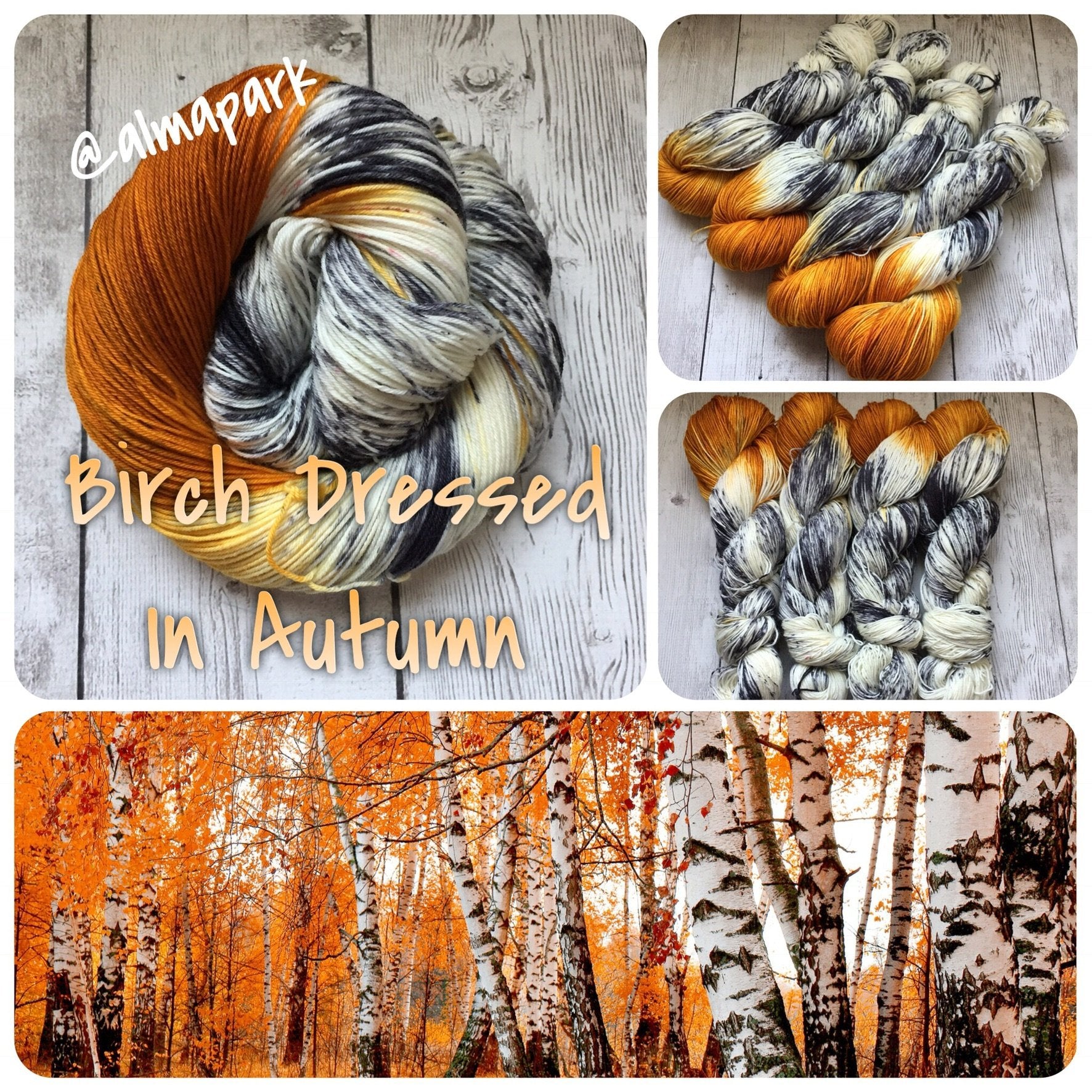 BIRCH DRESSED IN AUTUMN™ - Hand Painted/Speckled - Multiple Yarn Weights - RTS