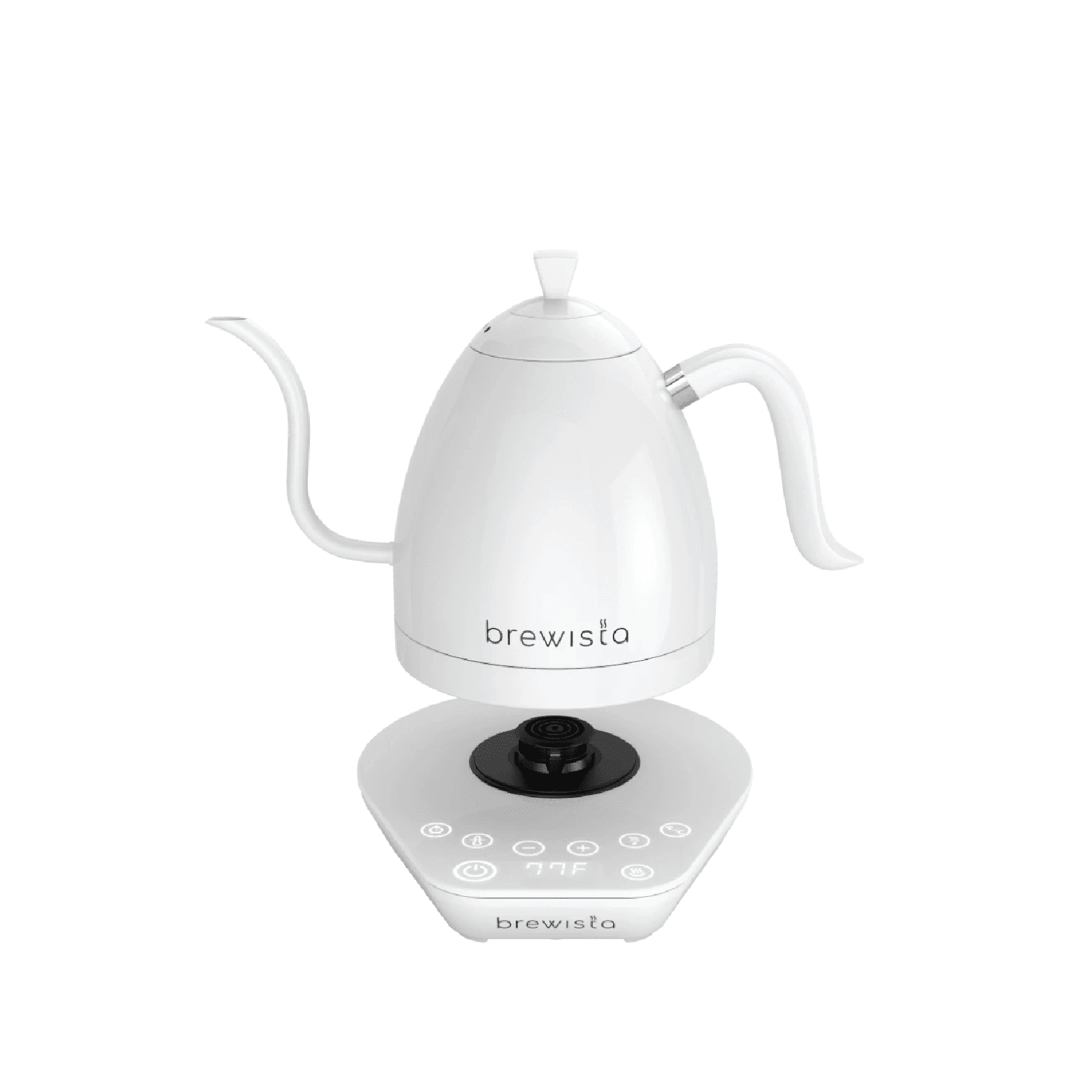 Brewitsa-Stainless Steel Electric Coffee Kettle, Gooseneck, Temperature  Control, 600ml