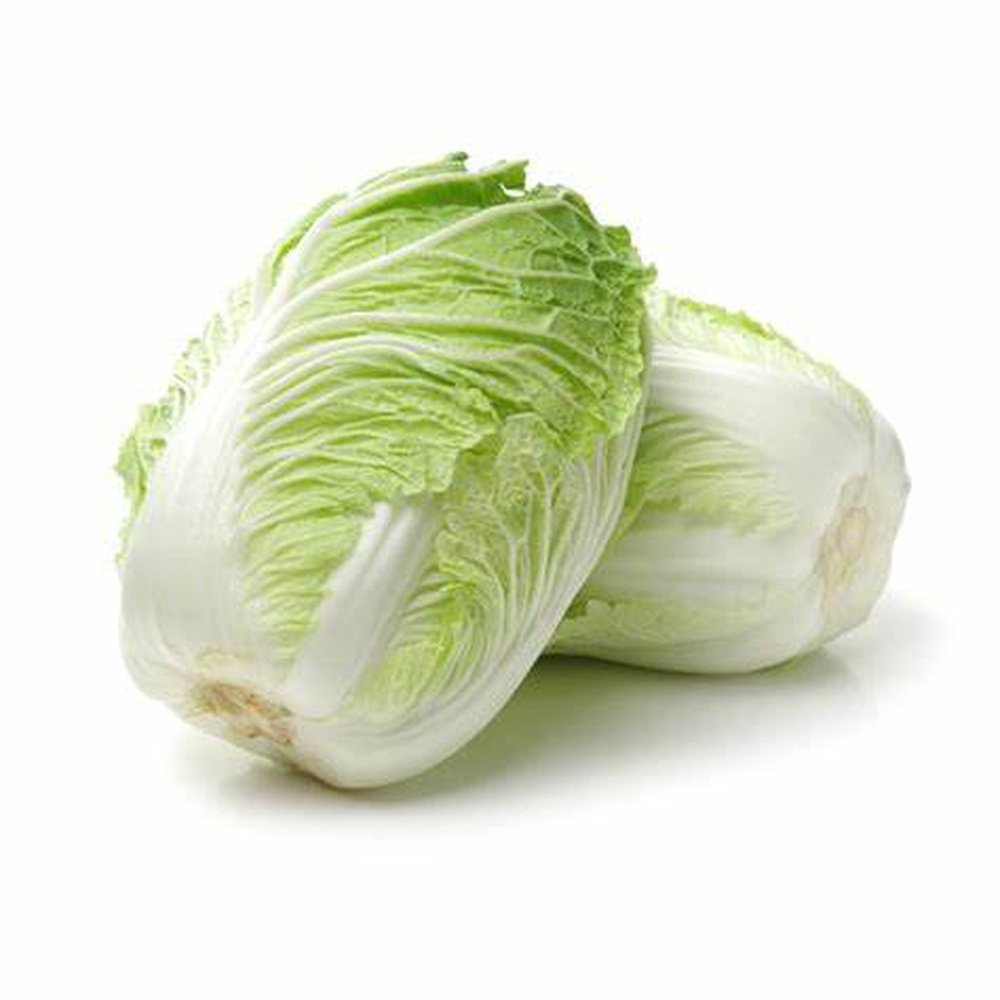 Chinese Cabbage Wong Bok Seeds Dandh Seed Harvest Co