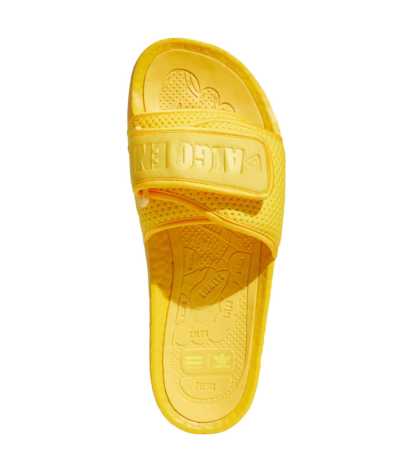 adidas Pharrell Williams BOOST Slides 