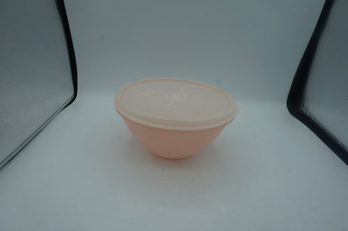 vintage Tupperware lettuce keeper- ohiohippies.com – Ohio Hippies