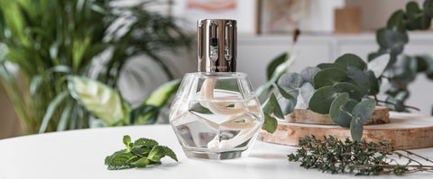 Catalytic diffuser Maison Berger Lampe Berger burner eliminate odour destroy bacteria air purifying
