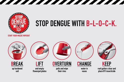 B L O C K Dengue prevention mosquito 