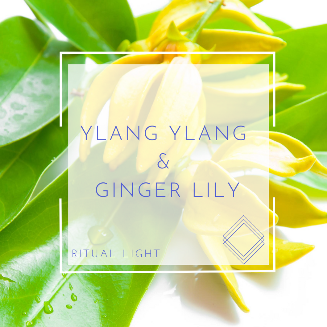 Ylang Ylang Ginger Lily Everyday Spiritual Tools Sympathea