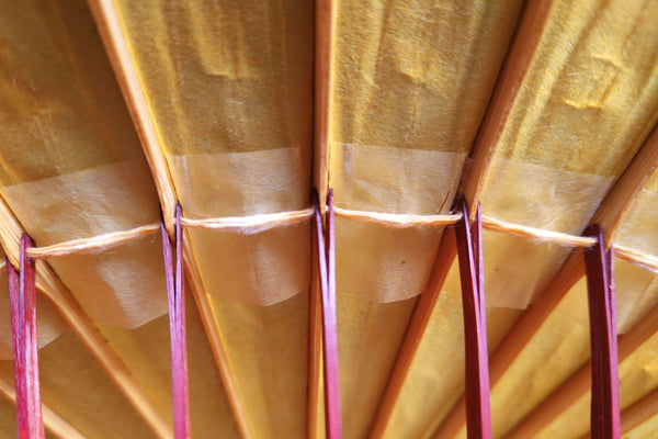 Photo of Japanese umbrella joints