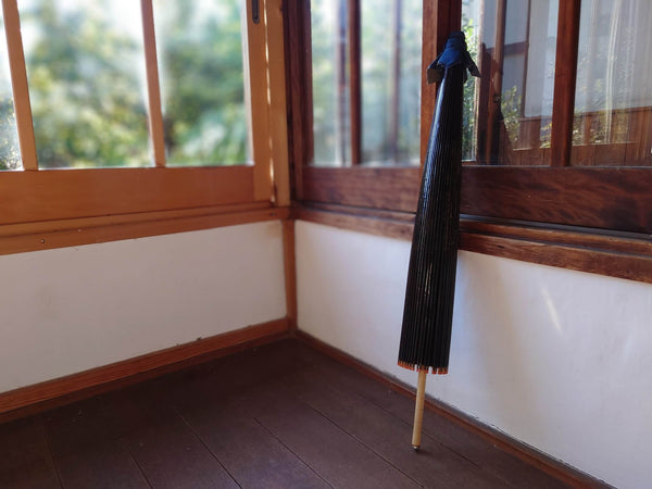 Photo with Japanese umbrella propped up