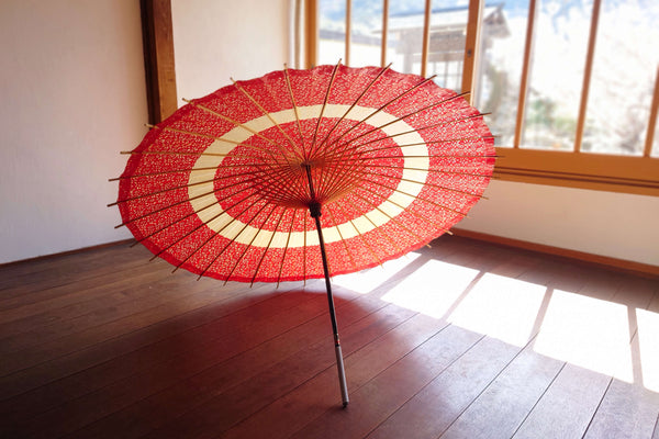Chinese Umbrella 2