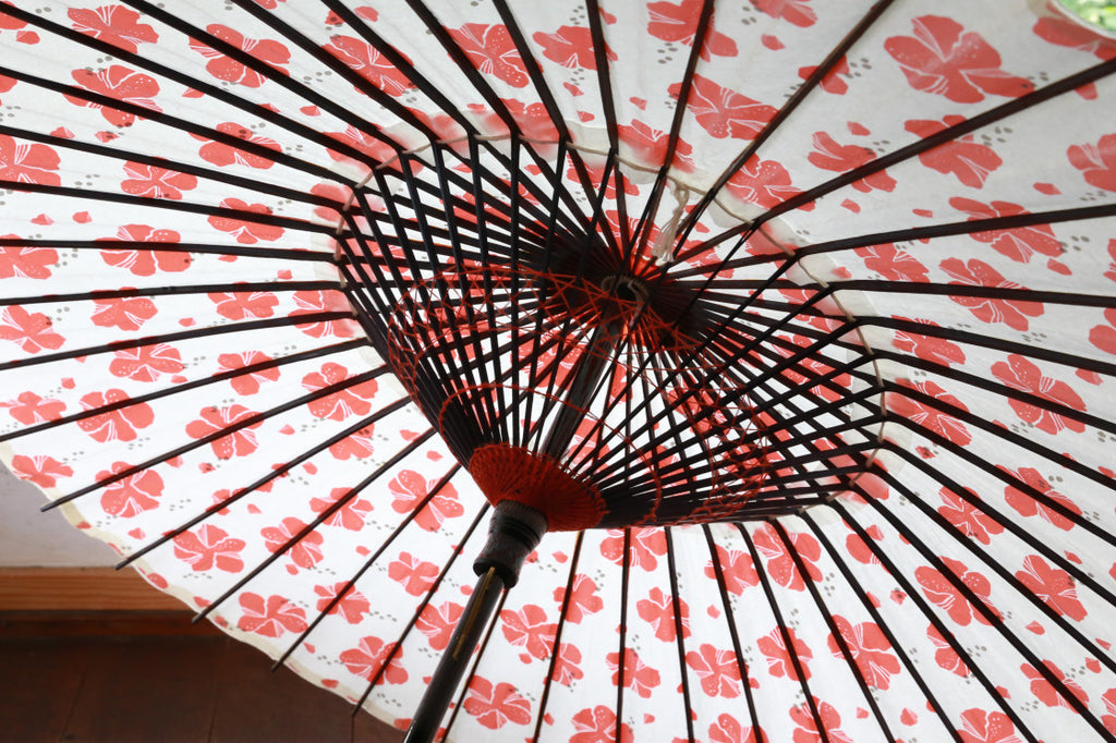 沖縄『シマノネ』×　岐阜和傘