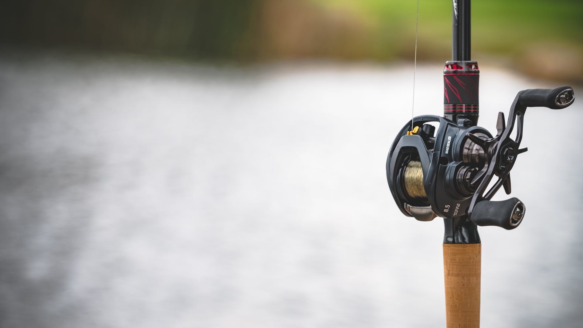 STEEZ A 100 – Daiwa US