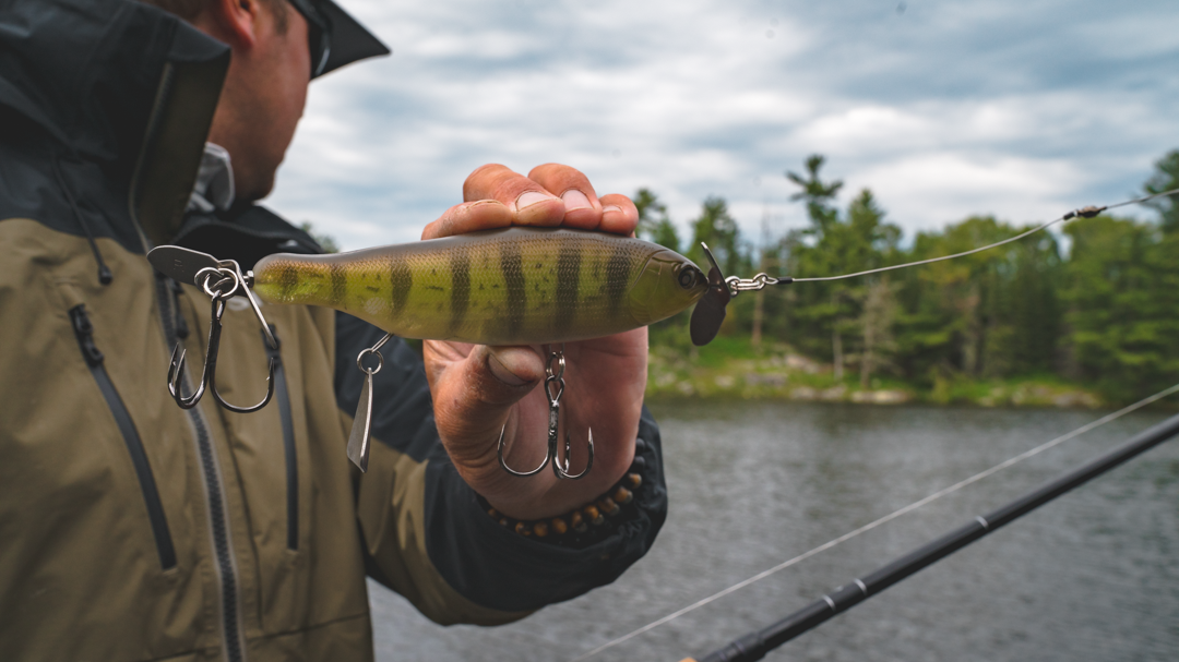 Daiwa Prorex TW Musky Baitcast Reel – Natural Sports - The Fishing