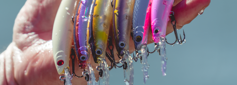 Lures – Daiwa US