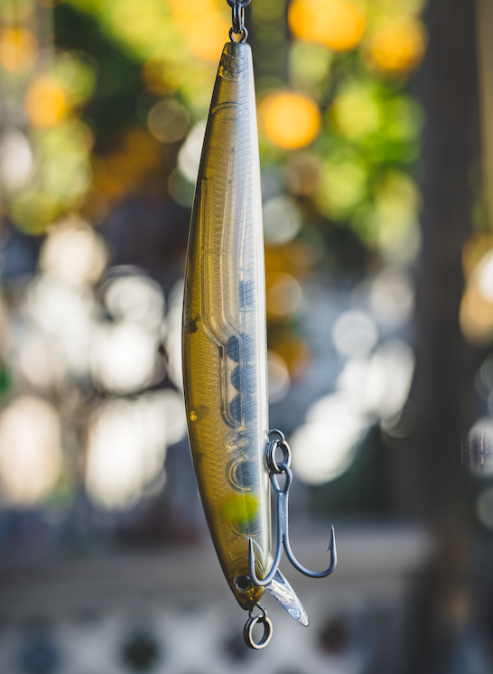 SALT PRO MINNOW (SINKING) – Daiwa US