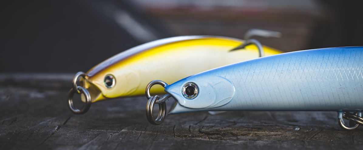 SALT PRO MINNOW—BULLET™ – Daiwa US