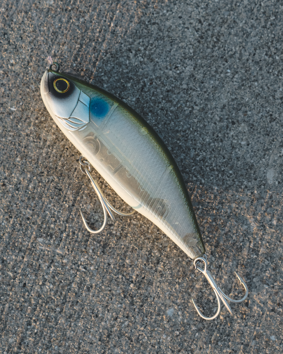 23 LAZY FA SHAD – Daiwa US