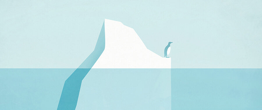 A penguin stands on the edge of an iceberg in Antarctica