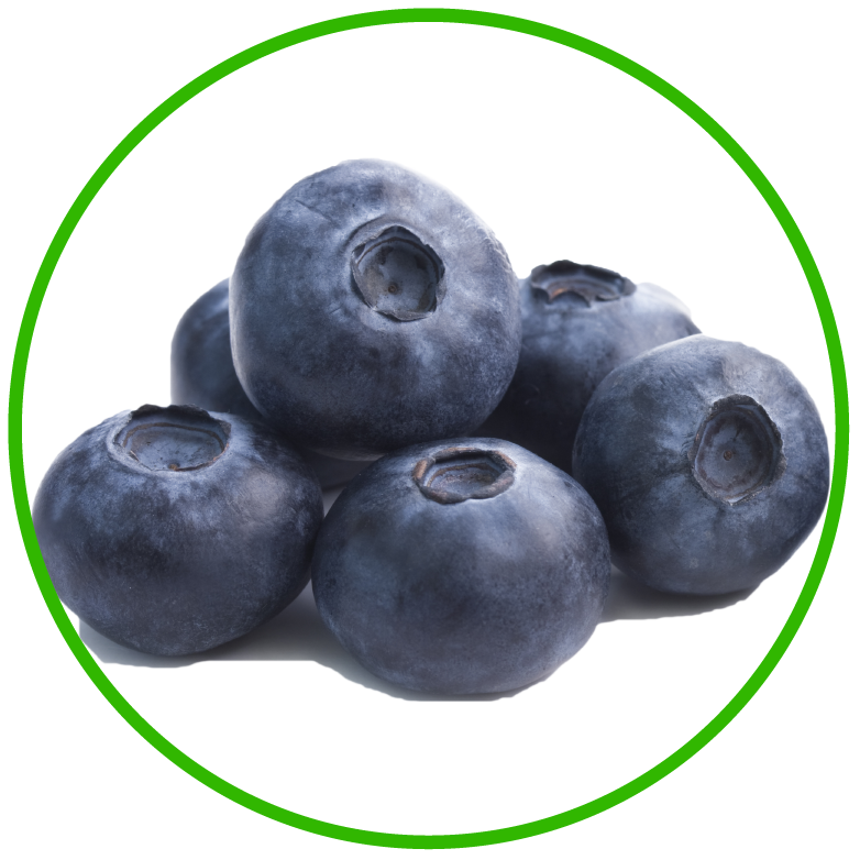 Antioxidant-Rich BC Blueberries