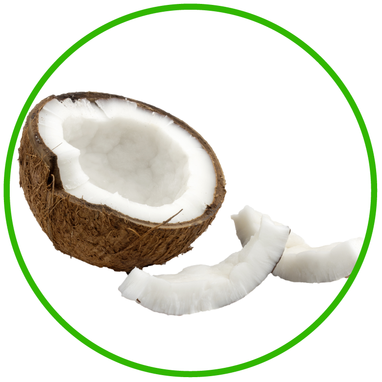 Creamy, Healthy Fat Coconuts