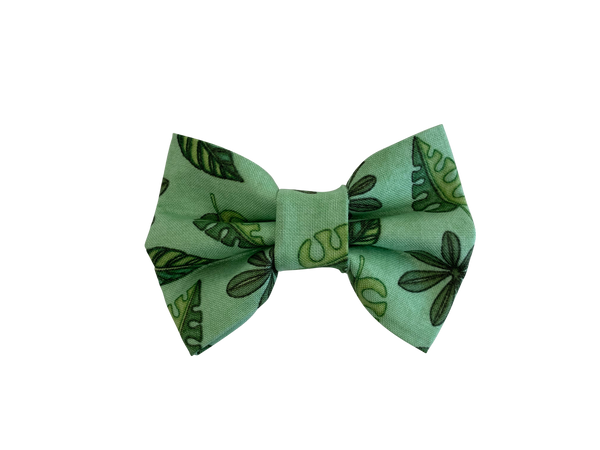 dog bow tie uk