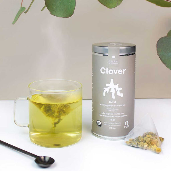 Clover Rest - Ashwagandha + Valerian Adaptogenic Herbal Tea