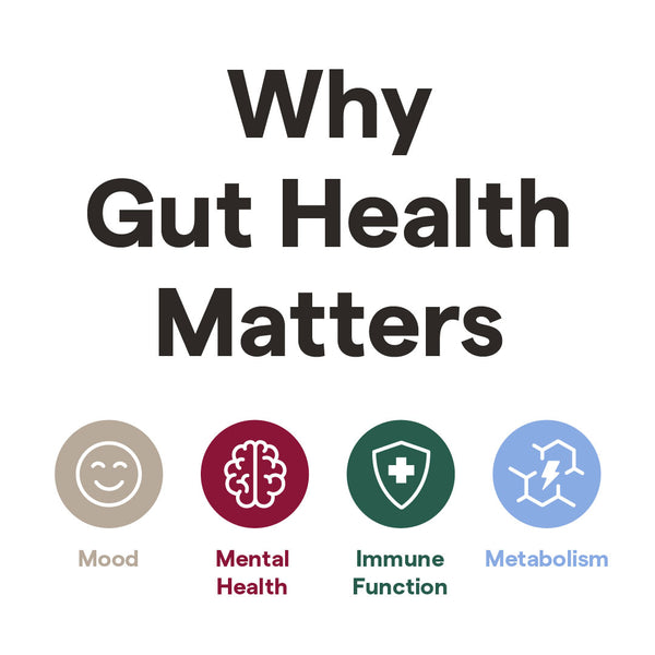 Why gut health matters: mood, mental health, immune function, metabolism.