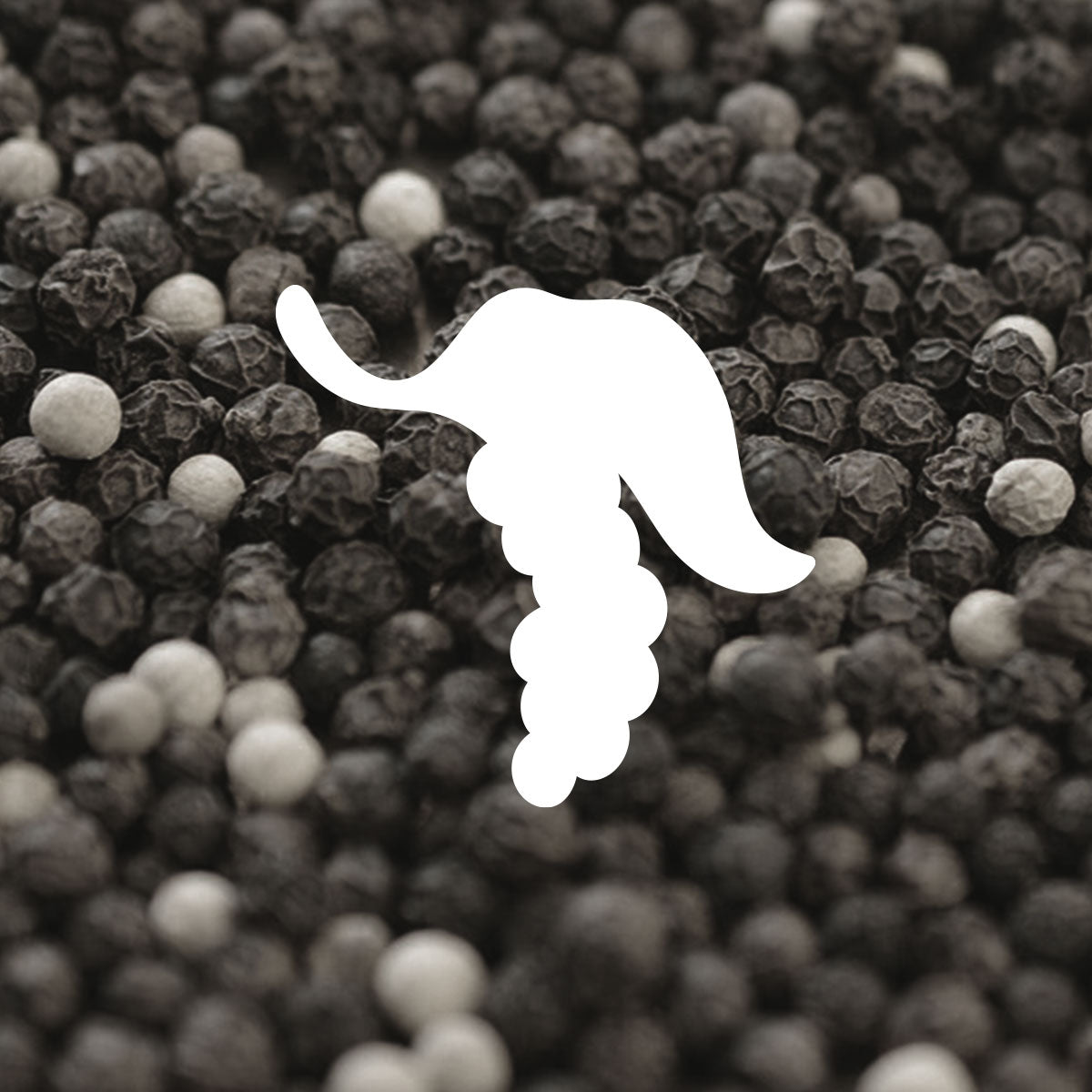 Clover black pepper illustration shown with photo of black peppercorns