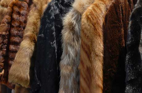 Dallas Luxury Handbags and Furs